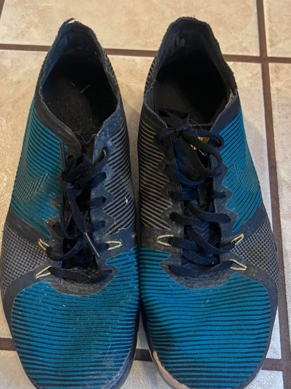 Nike Blue Running Shoes
